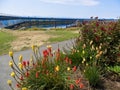 Breakwater at the Ogden Point in Victoria BC on a sunny summer day