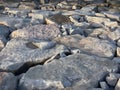 A breakwater is a permanent structure constructed.