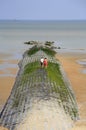 Breakwater in the sea, Middelkerke, West Flanders, Belgium.