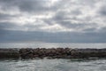 Breakwater and sun rays, San Pedro near Los Angeles Royalty Free Stock Photo