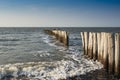 Breakwaters in the North Sea, Cadzand Bad, Holland Royalty Free Stock Photo