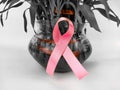 Breast cancer awareness symbol pink ribbon on lucky bamboo plant Royalty Free Stock Photo