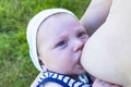 Breast-feeding. Close up portrait of baby who sucks milk from mother`s breast in nature. Royalty Free Stock Photo