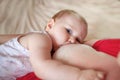 Breast feeding. Mum feeds the child Royalty Free Stock Photo