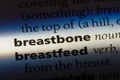 breastbone Royalty Free Stock Photo