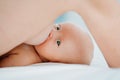 breastfeeding.close up.mother feeds baby with breast milk in bed.good appetite. Royalty Free Stock Photo