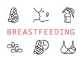 Breastfeeding flat line icon set. Vector illustration lactation. Included nipple shield, nursing clothes, correct Royalty Free Stock Photo