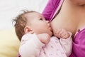 Breastfeeding newborn baby Royalty Free Stock Photo