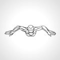 Breaststroke Swimmer Female Outline Silhouette. Sport swimming