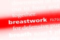 breastwork Royalty Free Stock Photo