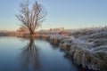 Breath of winter, first ice on the lake, dawn on a frosty morning with frost on the grass, close-up of frost, patterns on the Royalty Free Stock Photo