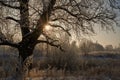 Breath of winter, first ice on the lake, dawn on a frosty morning with frost on the grass, close-up of frost, patterns on the Royalty Free Stock Photo