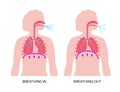 Breathing process poster