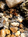 Breathing water bubbles on the rocks Royalty Free Stock Photo