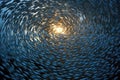 Breathtaking Aerial View Of Huge School Of Fish. Generative AI