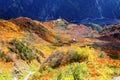 A breathtaking aerial view of a scenic cable car flying over the colorful autumn forests on the mountainside between Daikanbo Stat Royalty Free Stock Photo