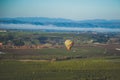 Air balloon ride over scenic vineyards of Temecula, Southern California, USA