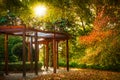 Breathtaking autumn landscape with a wooden pergola over fall leaves and warm light illumining the gold foliage. Vivid
