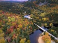 Breathtaking autumn scenery of colorful forest with bridges forming pathways in the middle