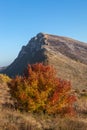 Breathtaking autumn view of Trem summit on Dry mountain (Suva planina) in Serbia