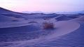 beautiful desert dunes simple minimalist wallpaper at dusk in mauve with a purple sky