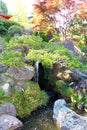 Beautiful colors of Japanese tea garden in fall