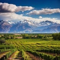 Breathtaking Beauty of Mendoza's Wine Country