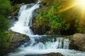 Breathtaking cascade waterfall hidden in a forest. Adventure and travel concept. Nature background. Kaiate Falls, Bay of