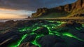 Glowing Green Algae on Volcanic Rocks at Sunset, Dramatic Coastal Landscape Royalty Free Stock Photo