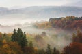 Breathtaking colorful autumn forest full of different types of trees covered in fog Royalty Free Stock Photo