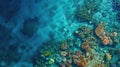 Breathtaking coral diversity and colorful fish in sunlit, turquoise ocean for Oceans Day