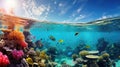 Breathtaking coral reef: colorful fish flourish in blue waters