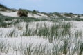 Breathtaking dune landscape with grasses on St. Peter Ording Royalty Free Stock Photo