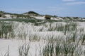 Breathtaking dune landscape with grasses on St. Peter Ording Royalty Free Stock Photo