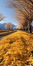 The Breathtaking Golden Leaf Road: A Uhd Image Of Nature\'s Beauty
