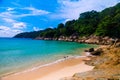 Breathtaking high angle shot of the shore of the turquoise ocean with rocks and a forest