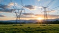 Golden Hour Symphony: Power Lines Meet Wild Meadows Royalty Free Stock Photo