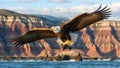 Bald Eagle Soars Over Crimson Canyons with Fresh Catch Royalty Free Stock Photo