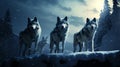 A majestic pack of wolves under a full moon in a vast, snow-covered landscape Royalty Free Stock Photo