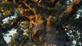 Ancient German Oak Tree: 500 Years of Majesty. Generative AI Royalty Free Stock Photo