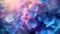 A cluster of hydrangea blossoms in shades of blue and purple, bathed in soft sunlight