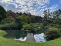 Breathtaking lake with a wooden dock at a picturesque park in spring