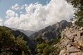 Breathtaking landscape of the hill with trees in the day time