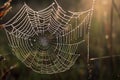 breathtaking macro shot of delicate spider web, with dew drops glistening in the morning light Royalty Free Stock Photo