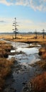 Breathtaking Marshland Landscape: Captivating Beauty Of Nature