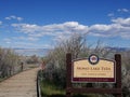 Breathtaking Mono lake Tufa, California Royalty Free Stock Photo