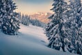 Breathtaking morning view of the mountain forest.