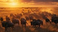 Panorama of wildebeest herd crossing savannah at sunset