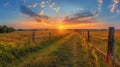 Sun Shining Through Majestic Oak Tree in Panoramic View Royalty Free Stock Photo