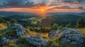 Sun Shining Through Majestic Oak Tree in Panoramic View Royalty Free Stock Photo